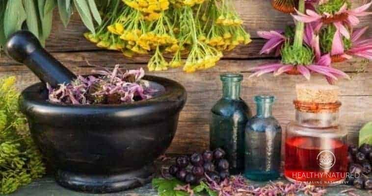 make herb infused olive oil for health and healing