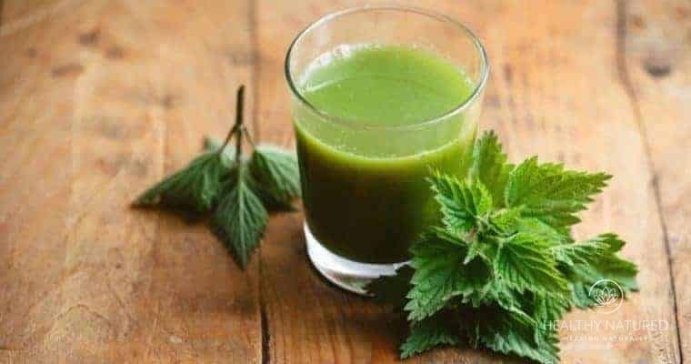Herbal remedies to boost the immune system. Nettle Leaf Juice.
Healing Herbs, Holistic Health,  Home Remedies.