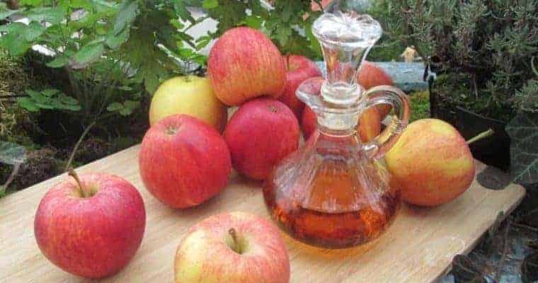 ayurveda weight loss remedies