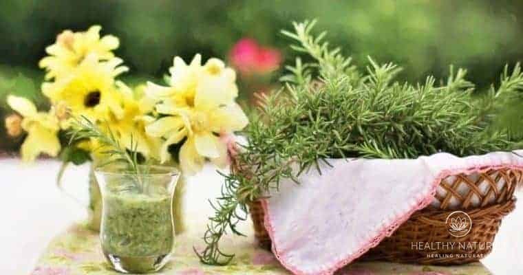 make herb infused olive oil for health and healing
