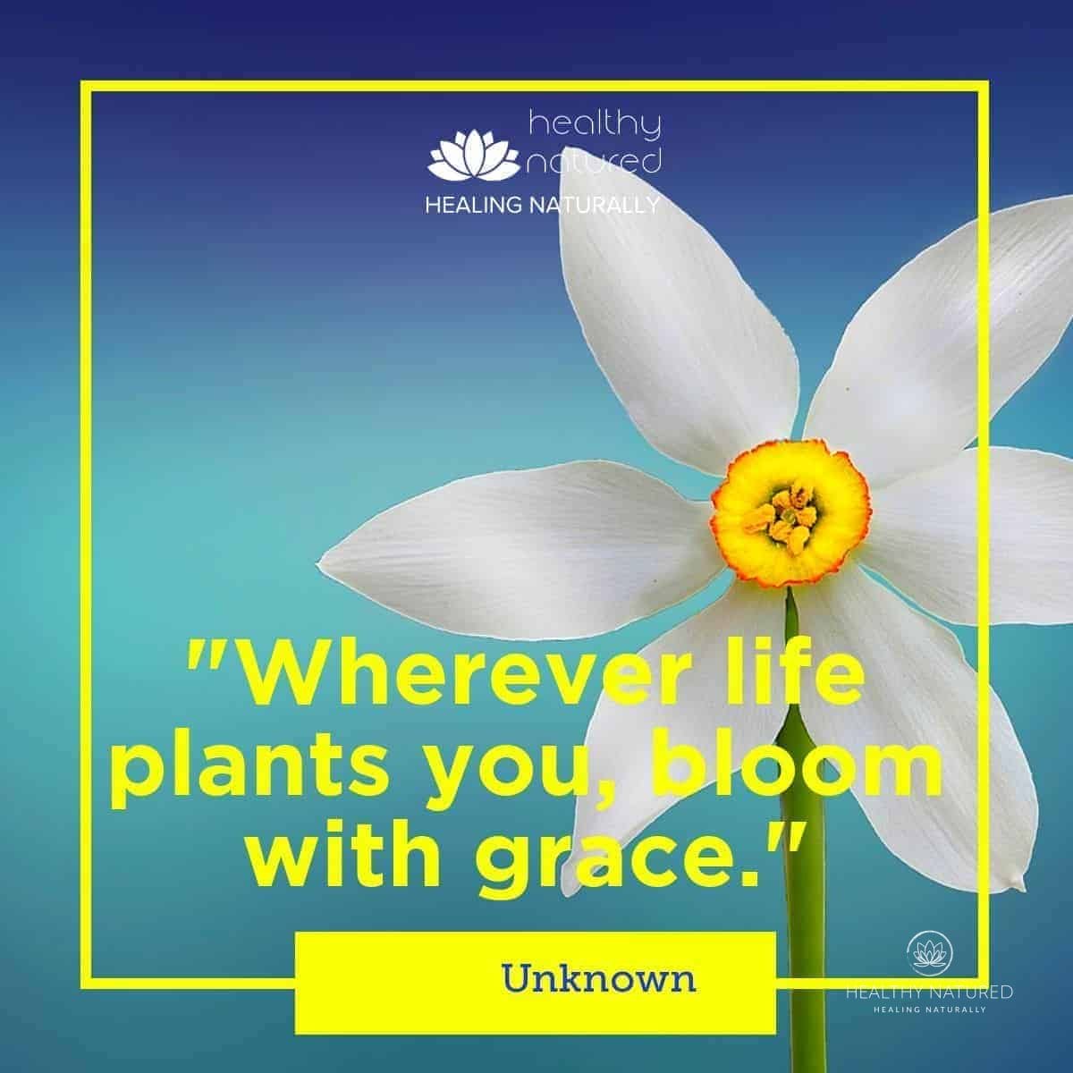 best quotes about life - balanced life