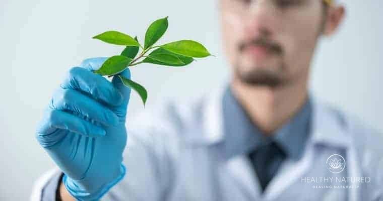 What Is Holistic Medicine