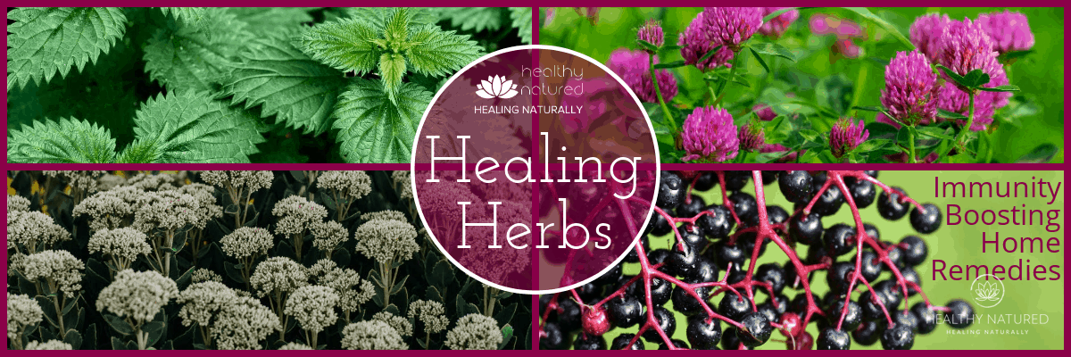 Healing Herbs Holistic Health Home Remedies Banner showing Nettles, Red Clover, Elderberries and Yarrow.