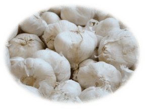 garlic