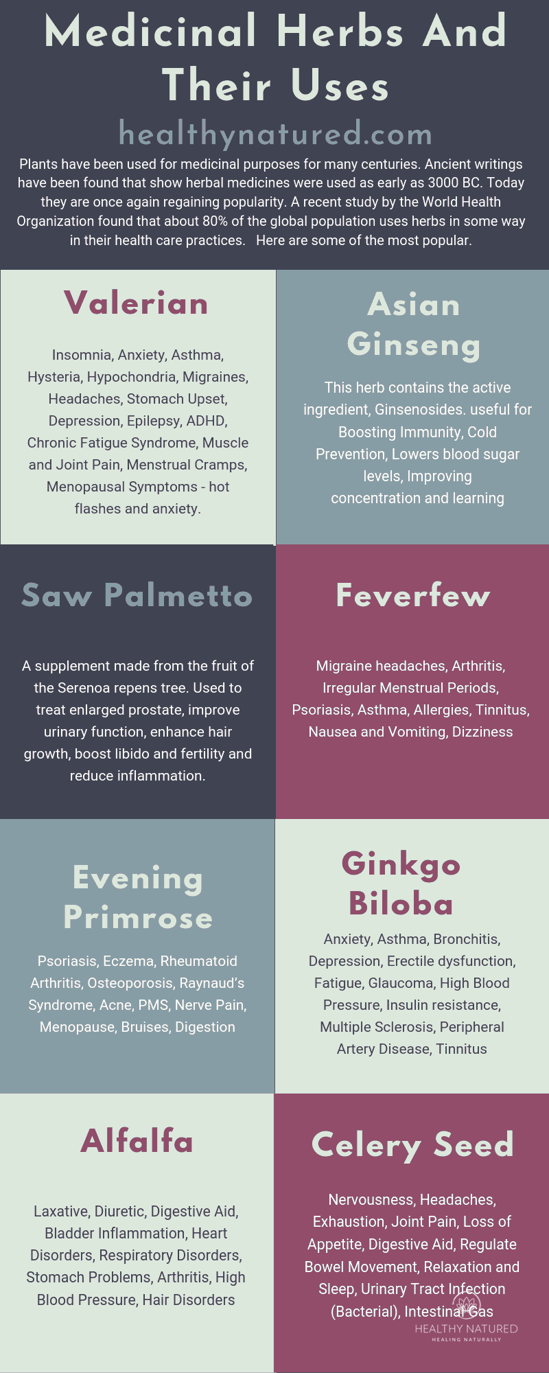 Healing With Herbs - Medicinal Herbs And Their Uses