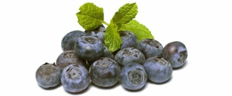 blueberries are one of the best natural remedies for high blood pressure, whole wheat blueberry pancakes with almond milk recipe