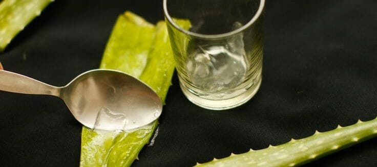 benefits of aloe vera skin care - aloe gelextraction