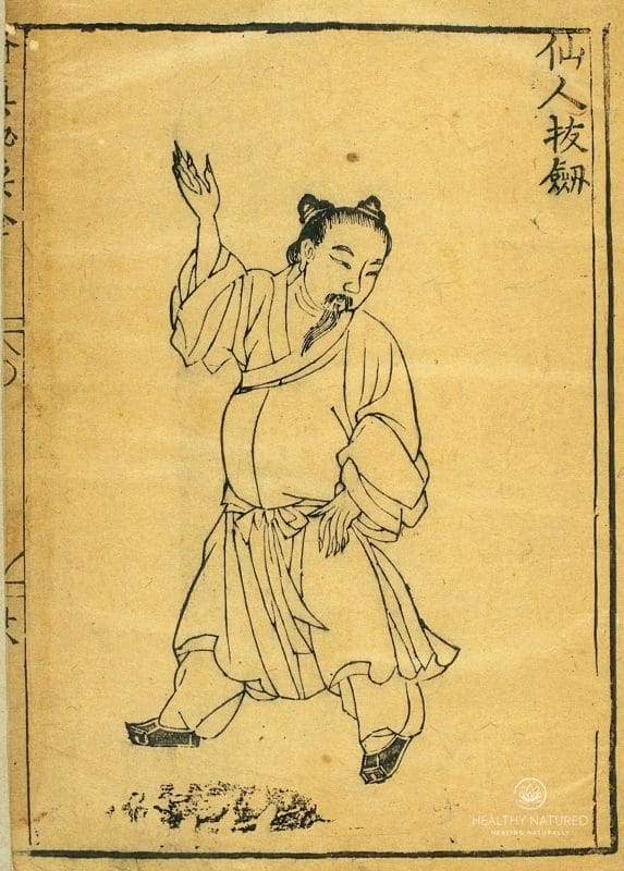 Traditional Chinese Medicine for weight loss