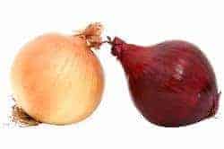 onion - homemade herbal cough syrup