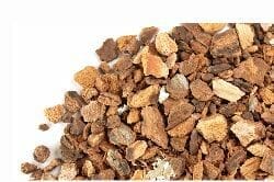 wild cherry bark - homemade herbal cough syrup