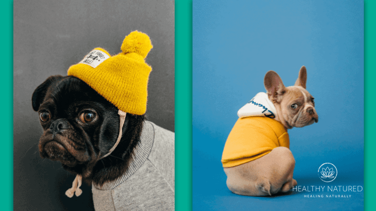 8 ways pets help health