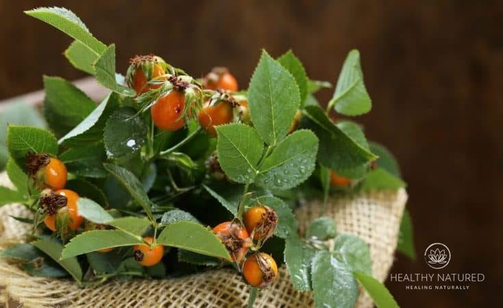 7 Key Benefits of Holistic Doctors - Treatments complement pharmacological treatment - What Is Holistic Medicine