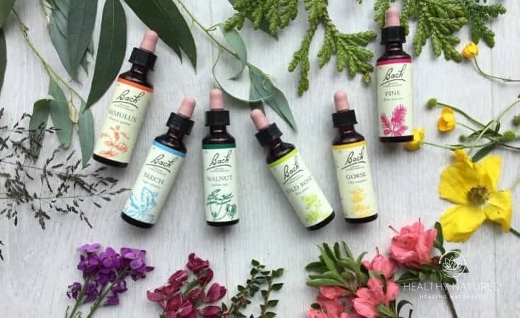 Bach Flowers Natural Supplements For Anxiety