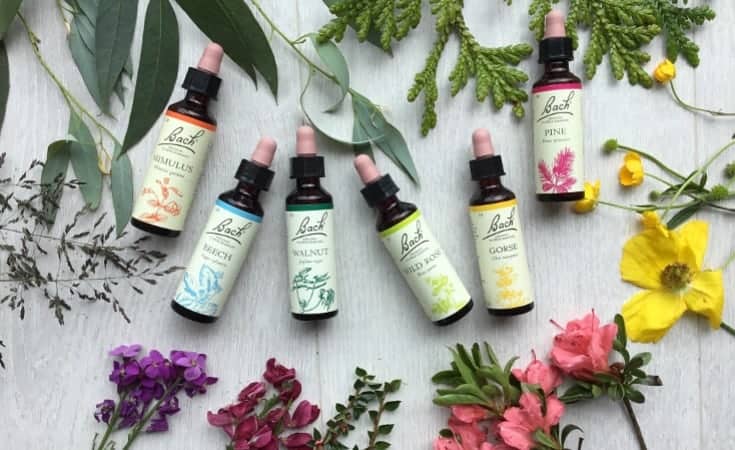 Bach Flowers Natural Supplements For Anxiety