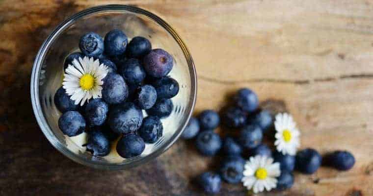 Blueberries - Ultimate Superfoods List