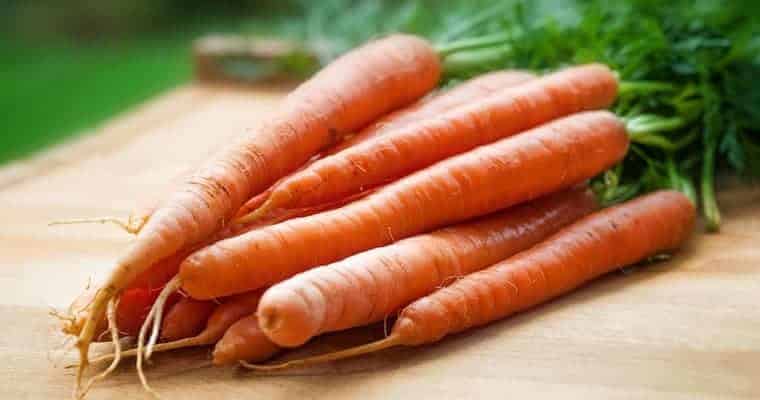 Carrots - Ultimate Superfoods List