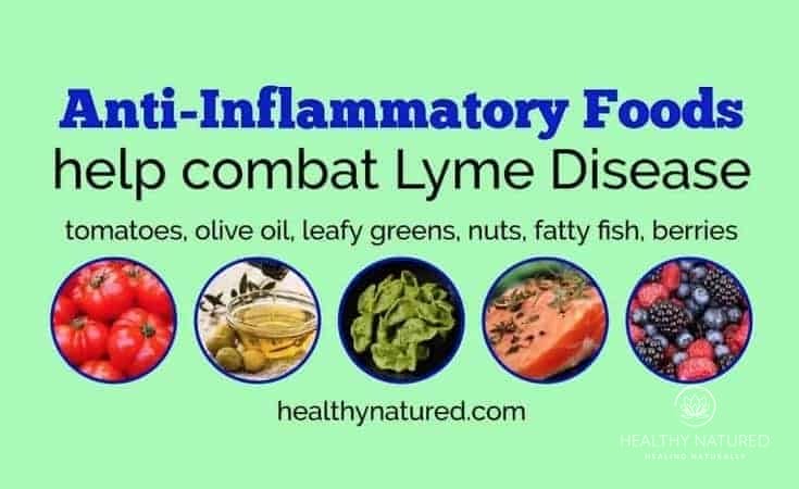 Combat Lyme Disease with anti-inflammatory foods - Natural Lyme Disease Treatment