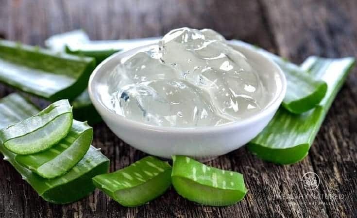 Aloe Vera Cream Recipes - Main Image
