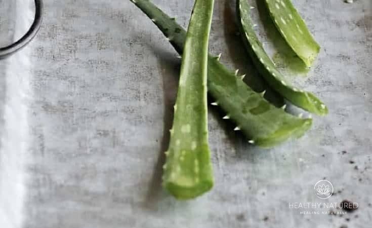 Harvest Aloe Vera Gel