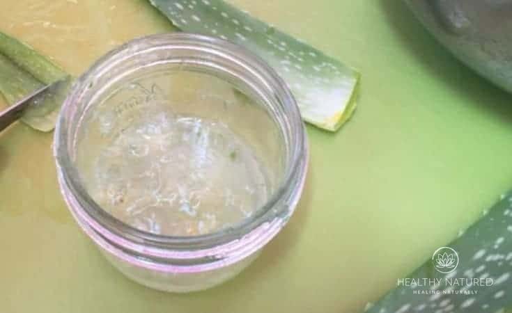 How To Harvest Aloe Vera Gel