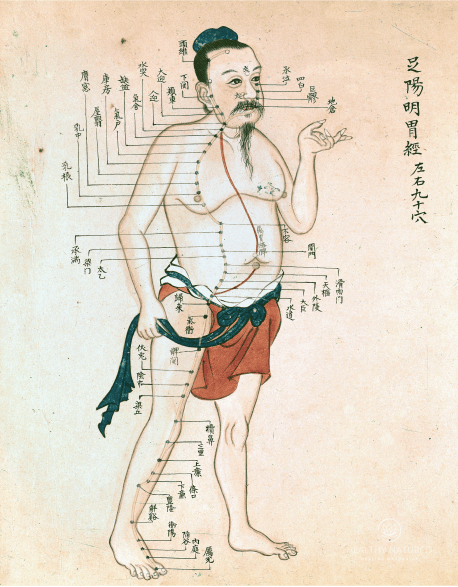 acupuncture chart 01