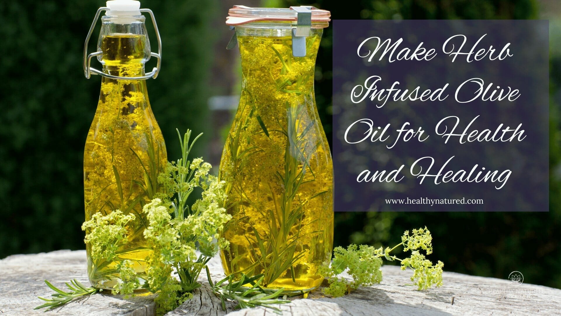 make herb infused olive oil for health and healing