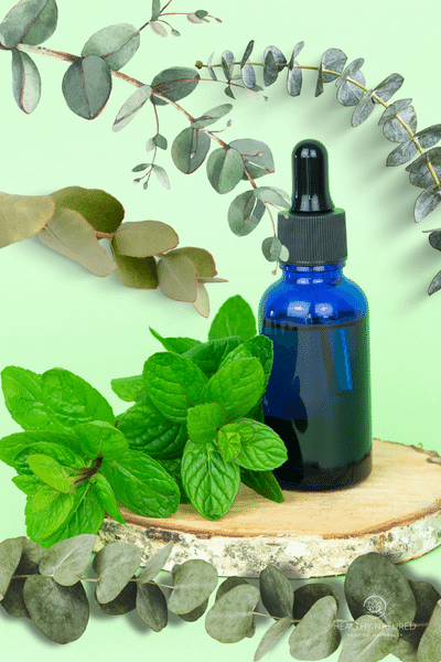 eucalyptus and peppermint eucalyptus and peppermint