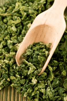 green tea top arthritis treatment
