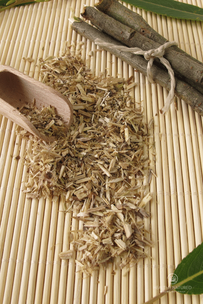 willow bark