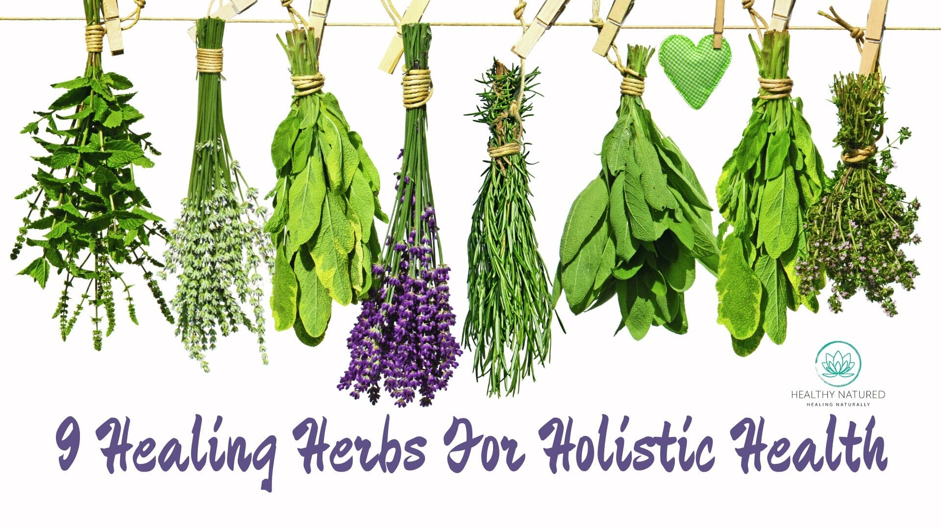 9 healing herbs for holistic health