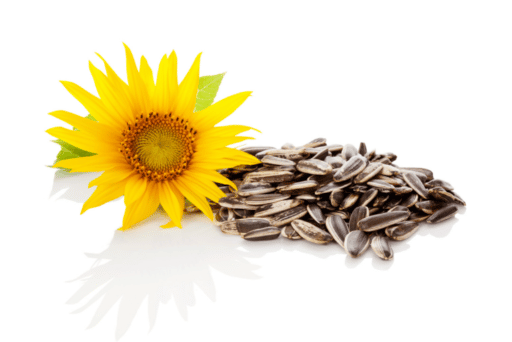 sunflower seeds