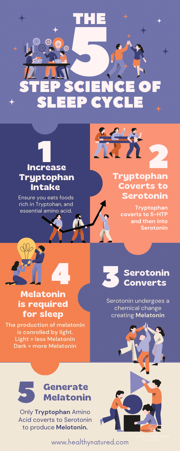 the science of sleep 5 stage cycle