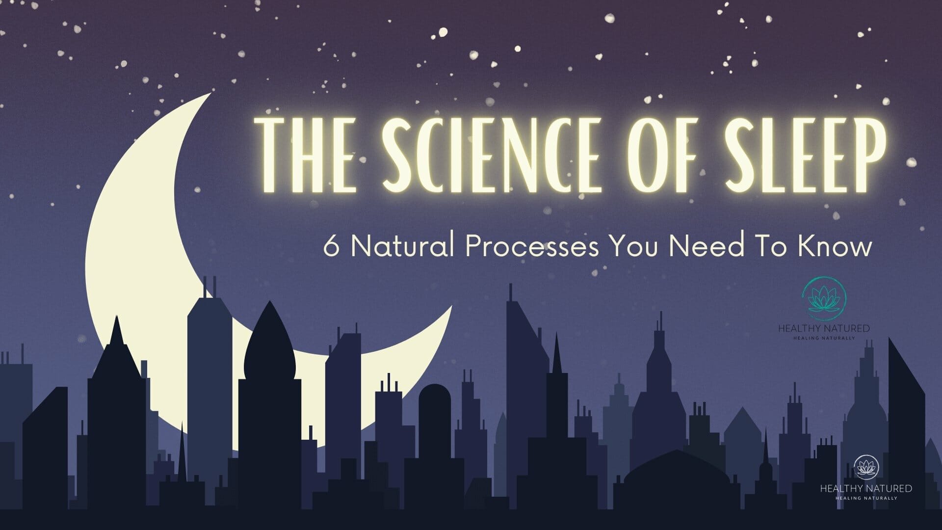 the science of sleep