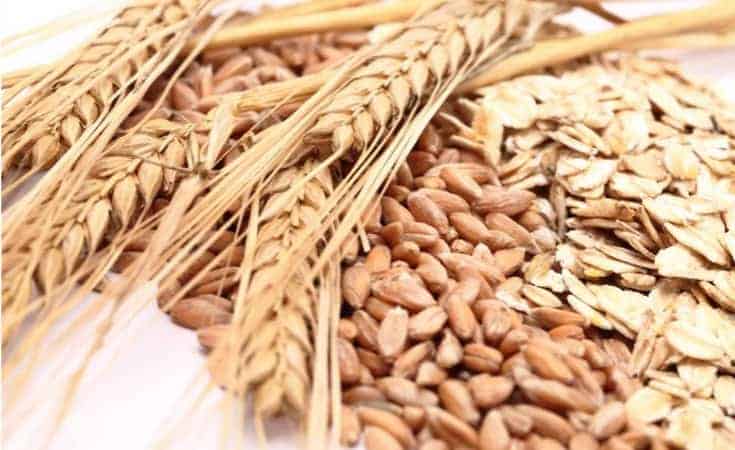 Whole Grains - 7 Delicious Foods To Eat To Lose Weight In The Belly Fast