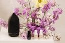 Best Essential Oil Diffusers