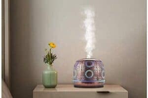 Ominihome Essential Oil Diffuser - Best Essential Oil Diffusers