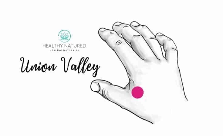 Union Valley - Tension Headache Relief Pressure Points