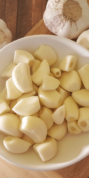garlic