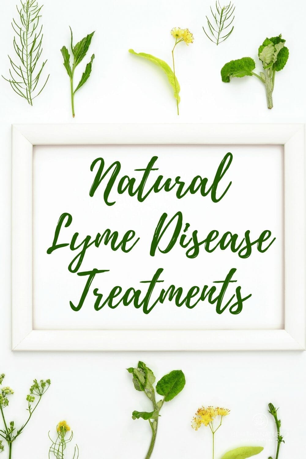 Pinterest Hidden Image