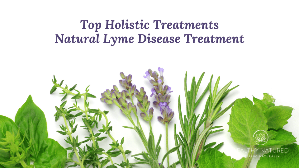 top holistic treatments natural lyme disease treatment
