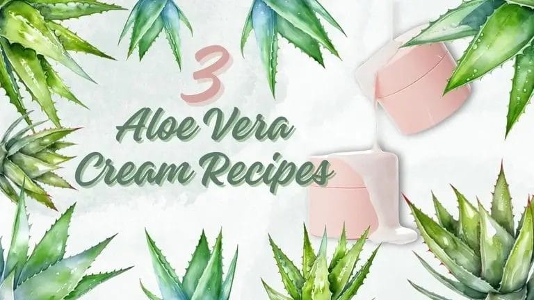 3 homemade Aloe Vera Cream Recipes