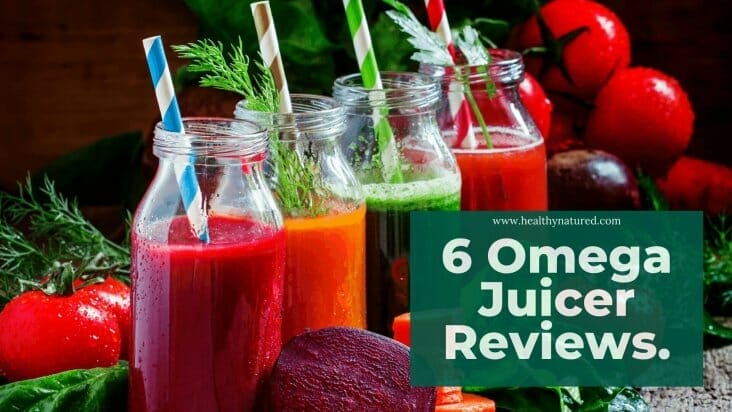 6 omega juicer reviews