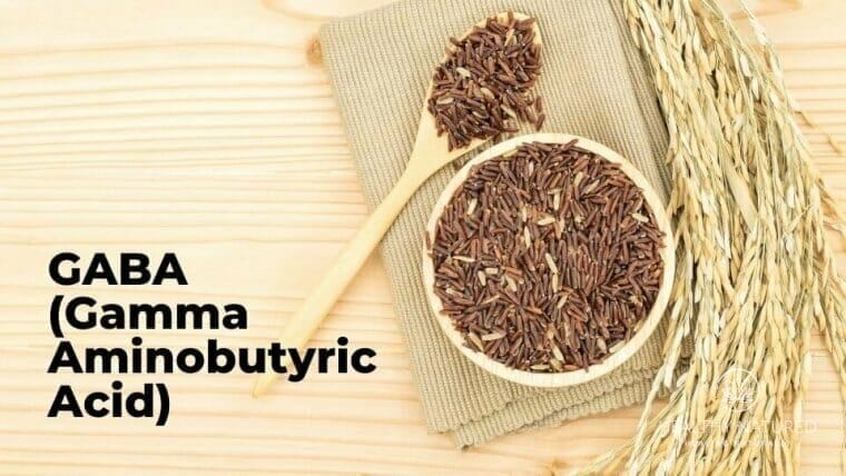 gaba gamma aminobutyric acid