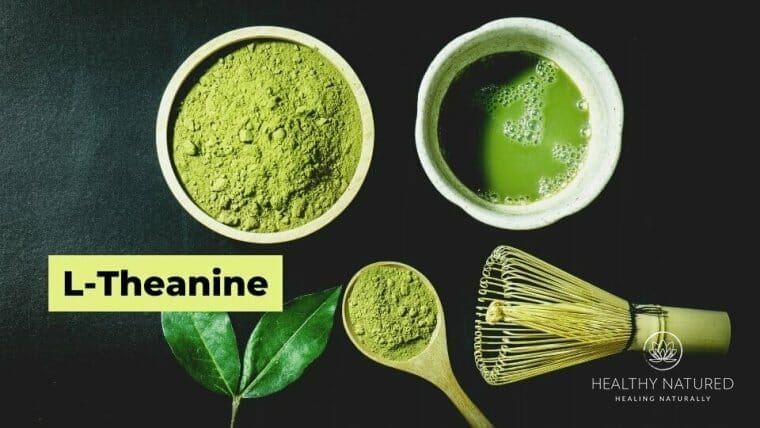 L-Theanine- Natural Treatments For Anxiety