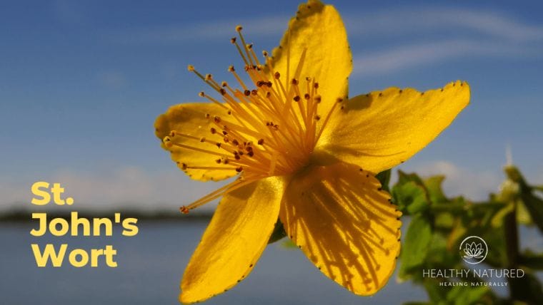 st john's wort