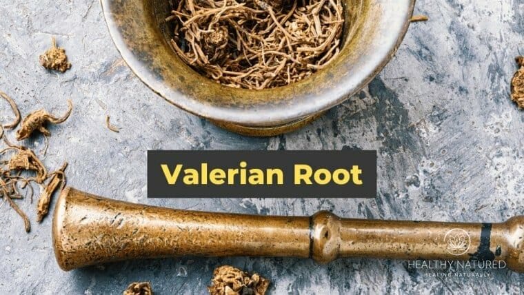 valerian root supplements - natural treatments for anxiety