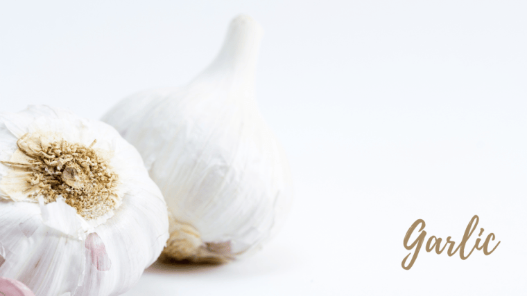 garlic garlic