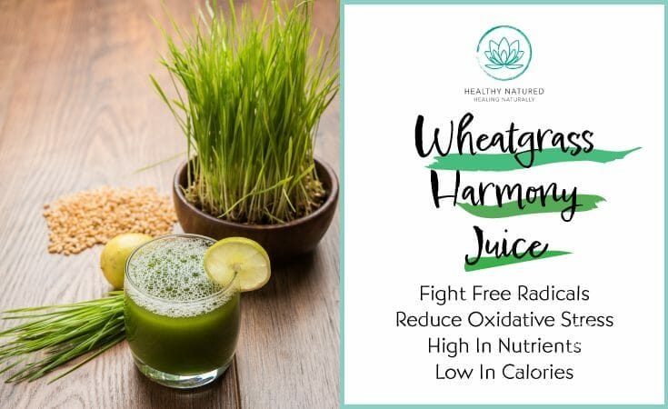 Wheatgrass Harmony
