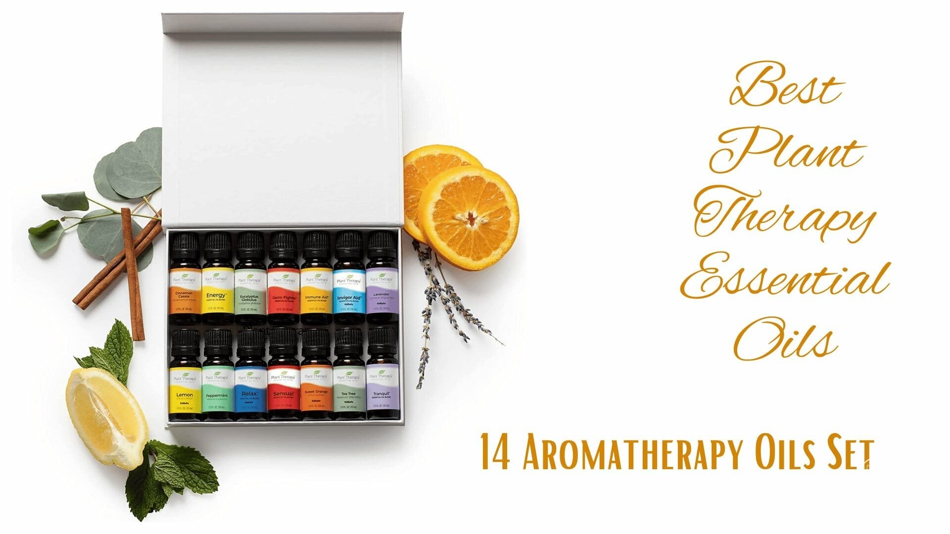 best plant therapy essential oils