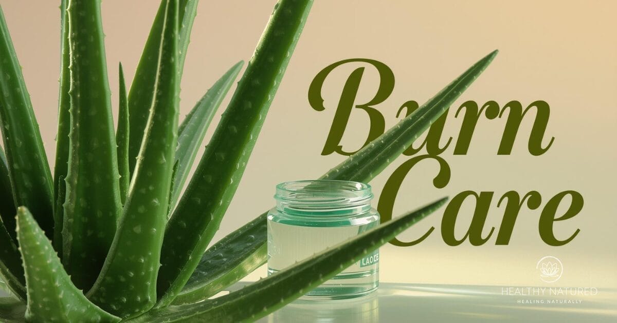aloe vera for burn care